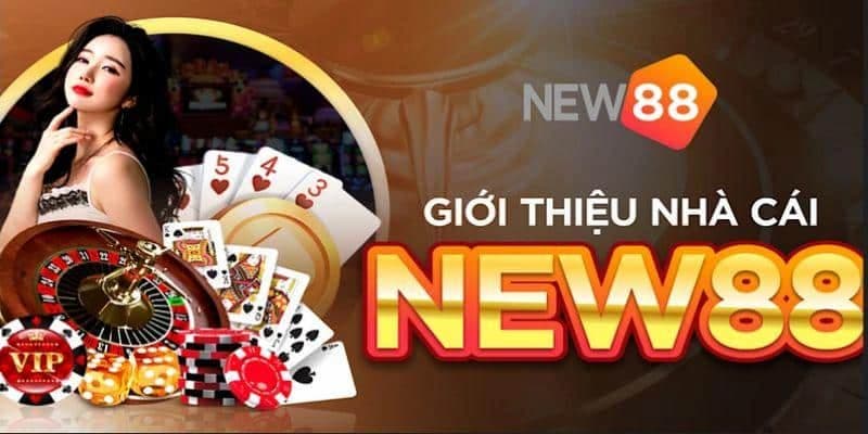 Sự phát triển nổi bật của New88