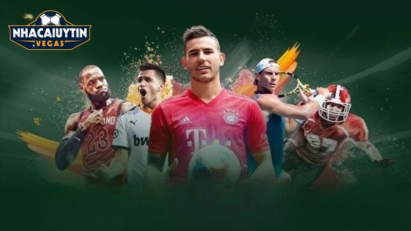 Giới thiệu về nhà cái thể thao uy tín