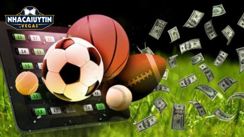 Chia sẻ quy trình đánh giá và tổng hợp nhà cái thể thao tại Nhà Cái Uy Tín Vegas